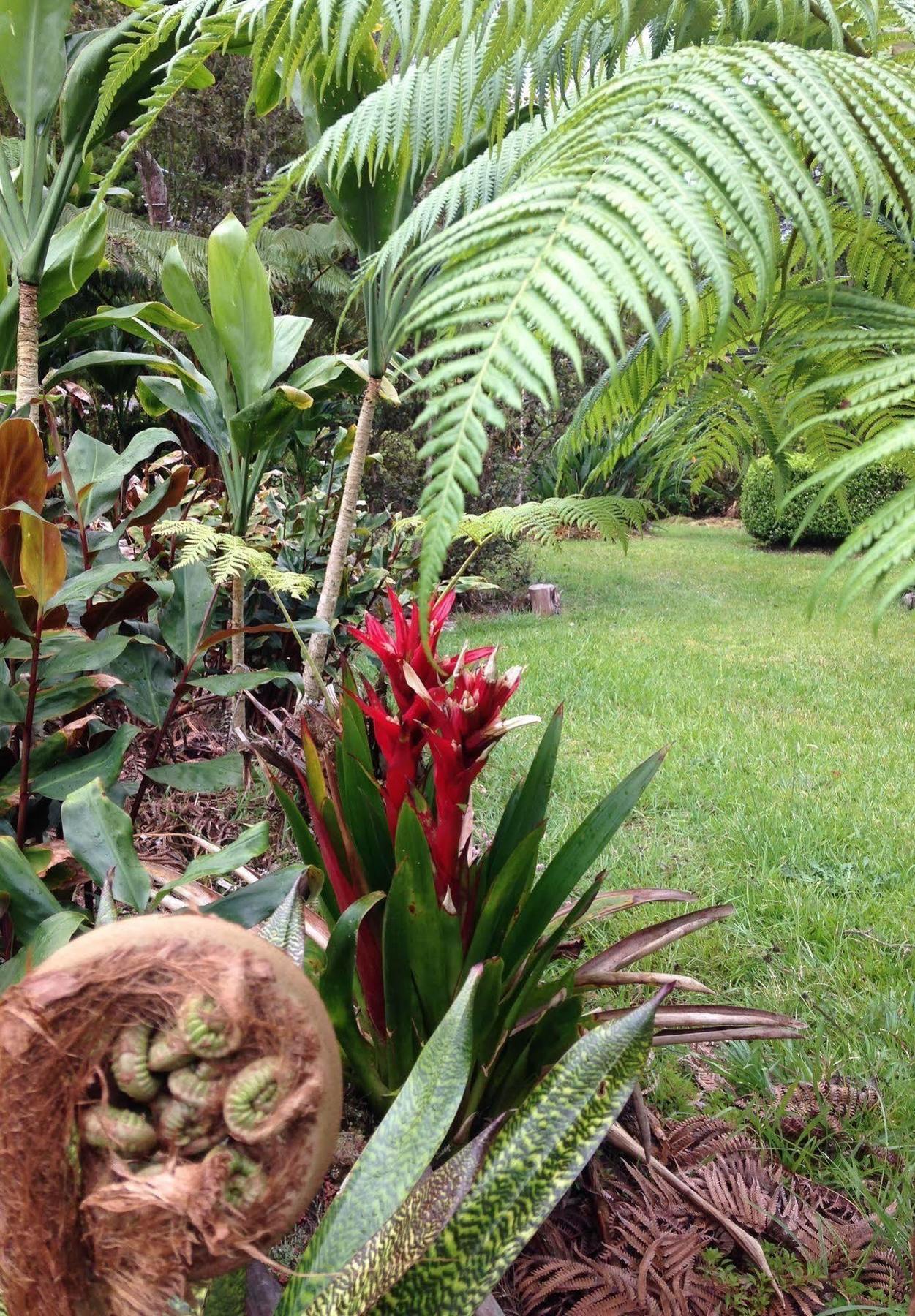 Aloha Happy Place Volcano Exterior foto